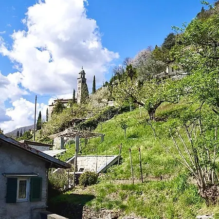 Casa Angiolina - Holidays *
